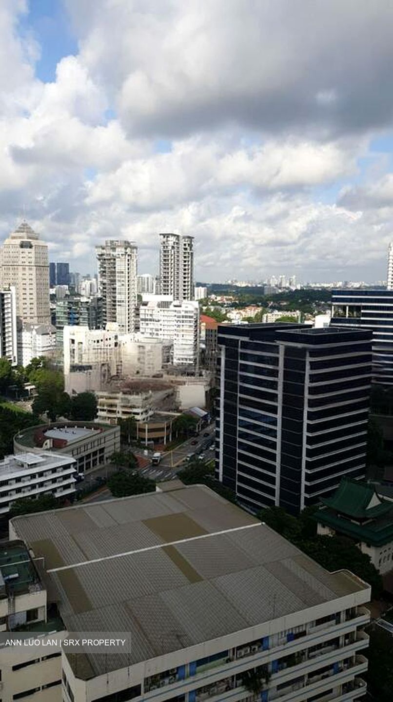 Rajah Tower (D12), Apartment #473866721